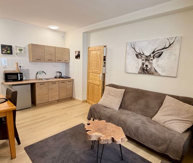 Apartament Deluxe