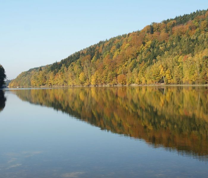 Zapraszamy